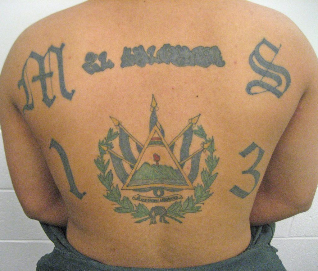 marasalvatrucha