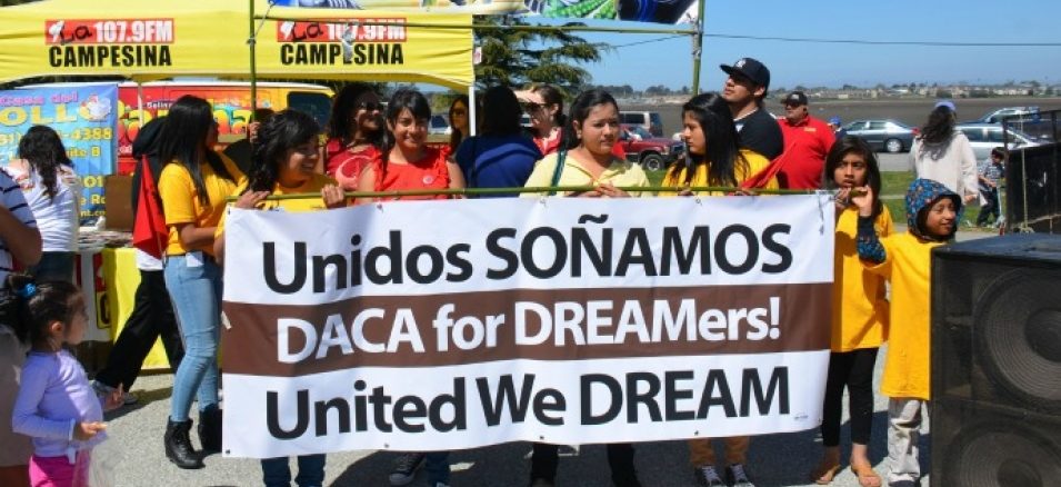 sonadores daca