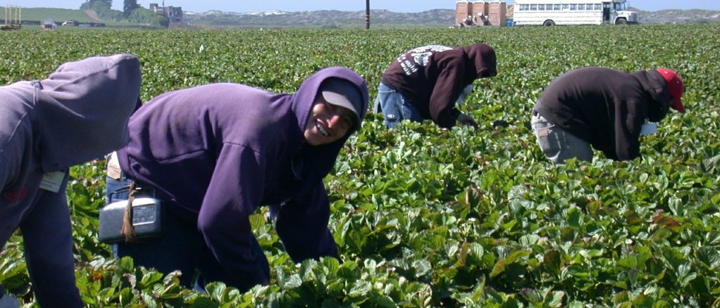 trabajadores