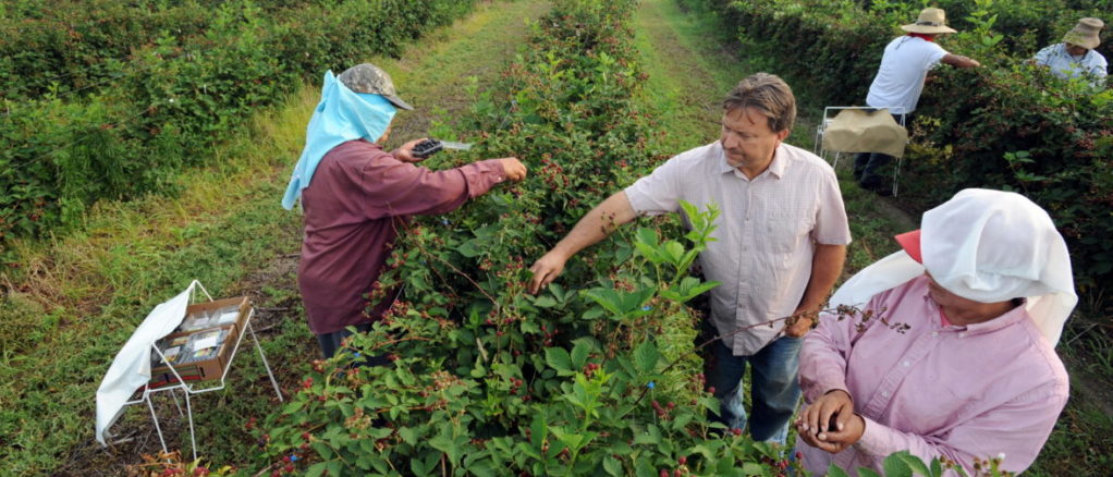 trabajadores campo inmigrantes