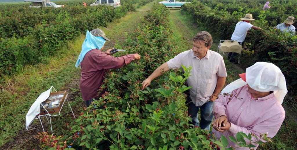 trabajadores campo inmigrantes