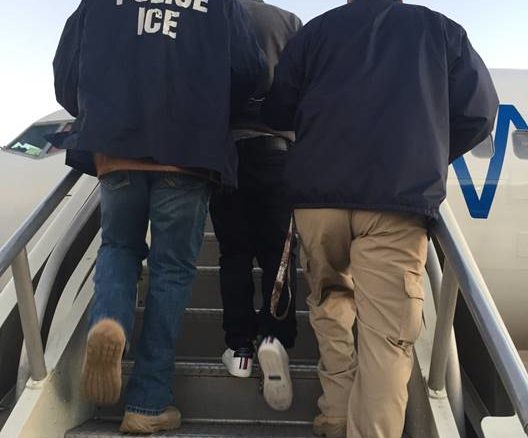 detenciones ice deportaciones