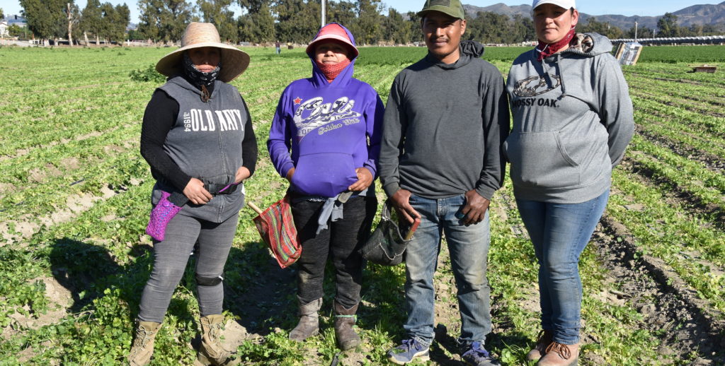 inmigrantes agricolas trabajadores  campo jornaleros