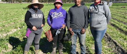 inmigrantes agricolas trabajadores  campo jornaleros