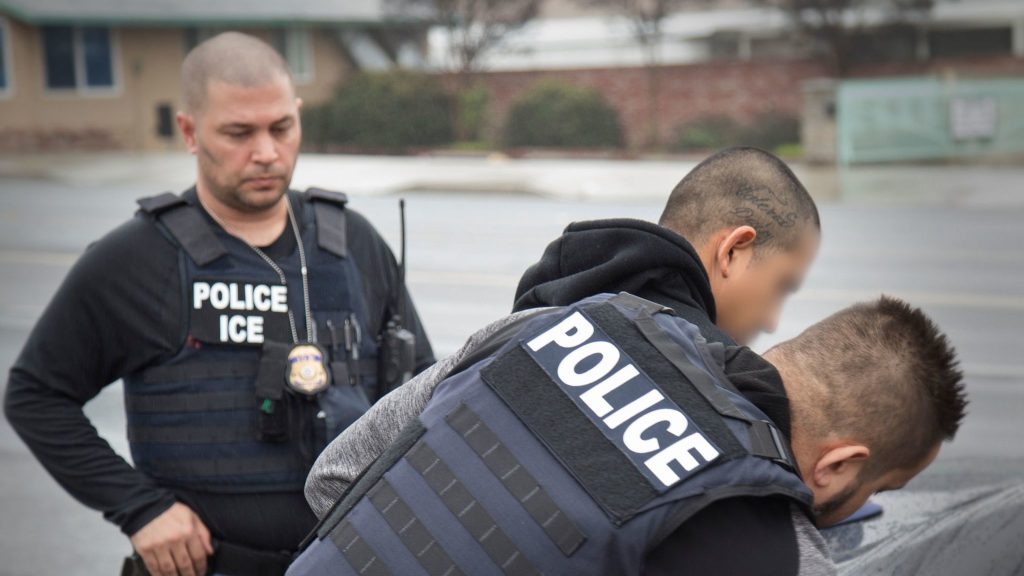 ice-police