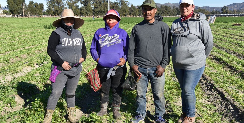 El des·nimo empuja a los campesinos a ceder a sus hijos el “sueÒo americano”