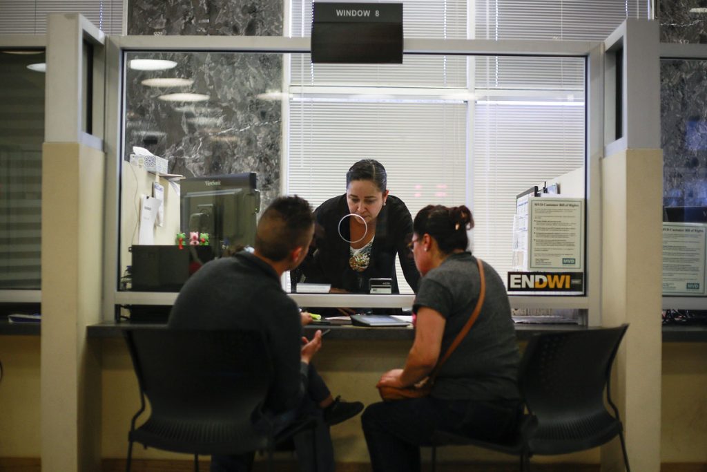 Comienza ejecución de ley estatal que otorga dos diferentes licencias de conducción