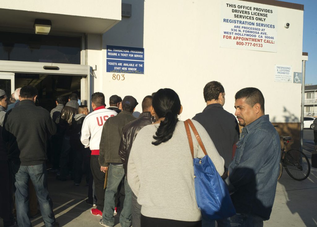 CALIFORNIA COMIENZA EMISIÓN DE LICENCIAS DE CONDUCIR PARA INDOCUMENTADOS